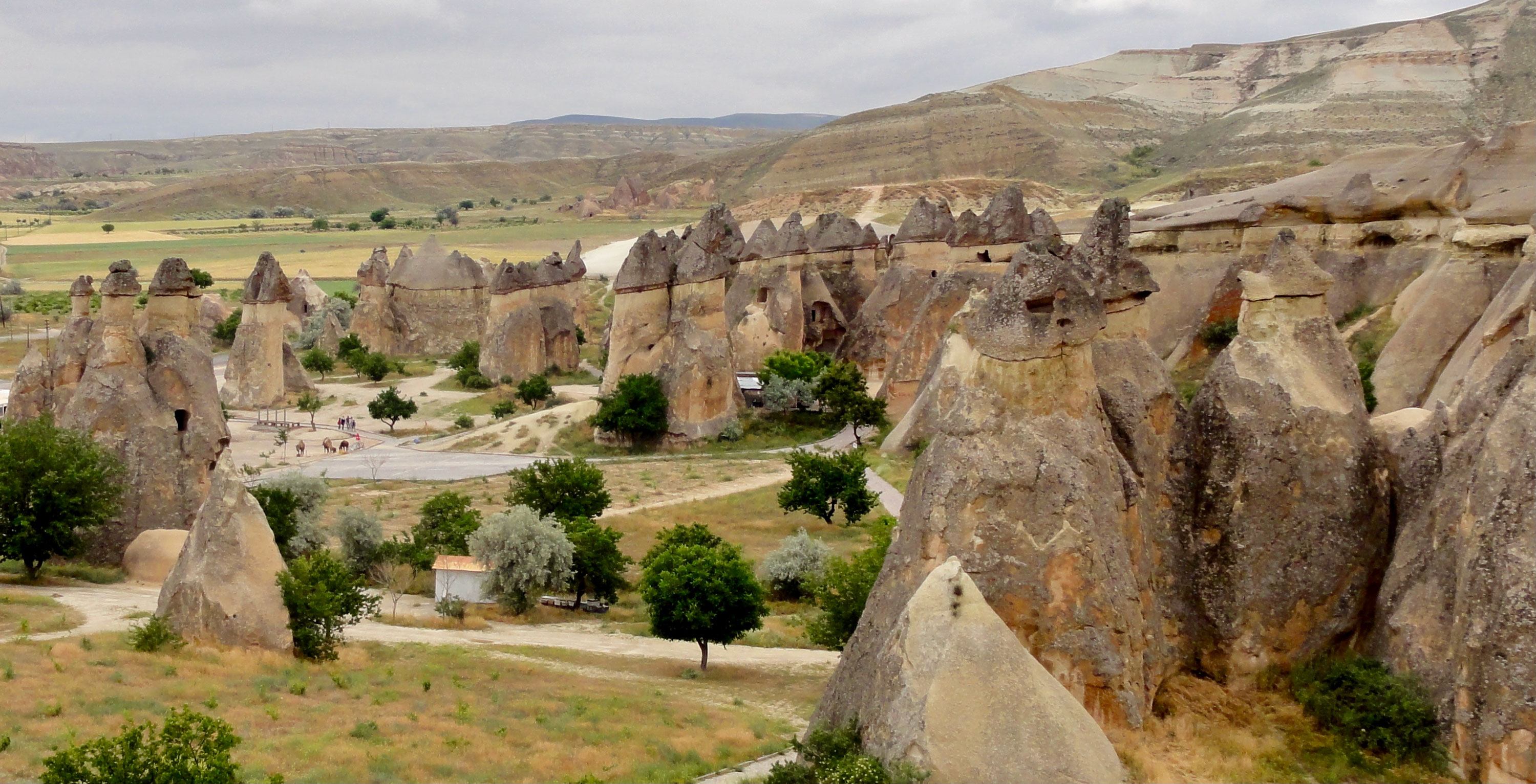 header 23 - 461 Tage