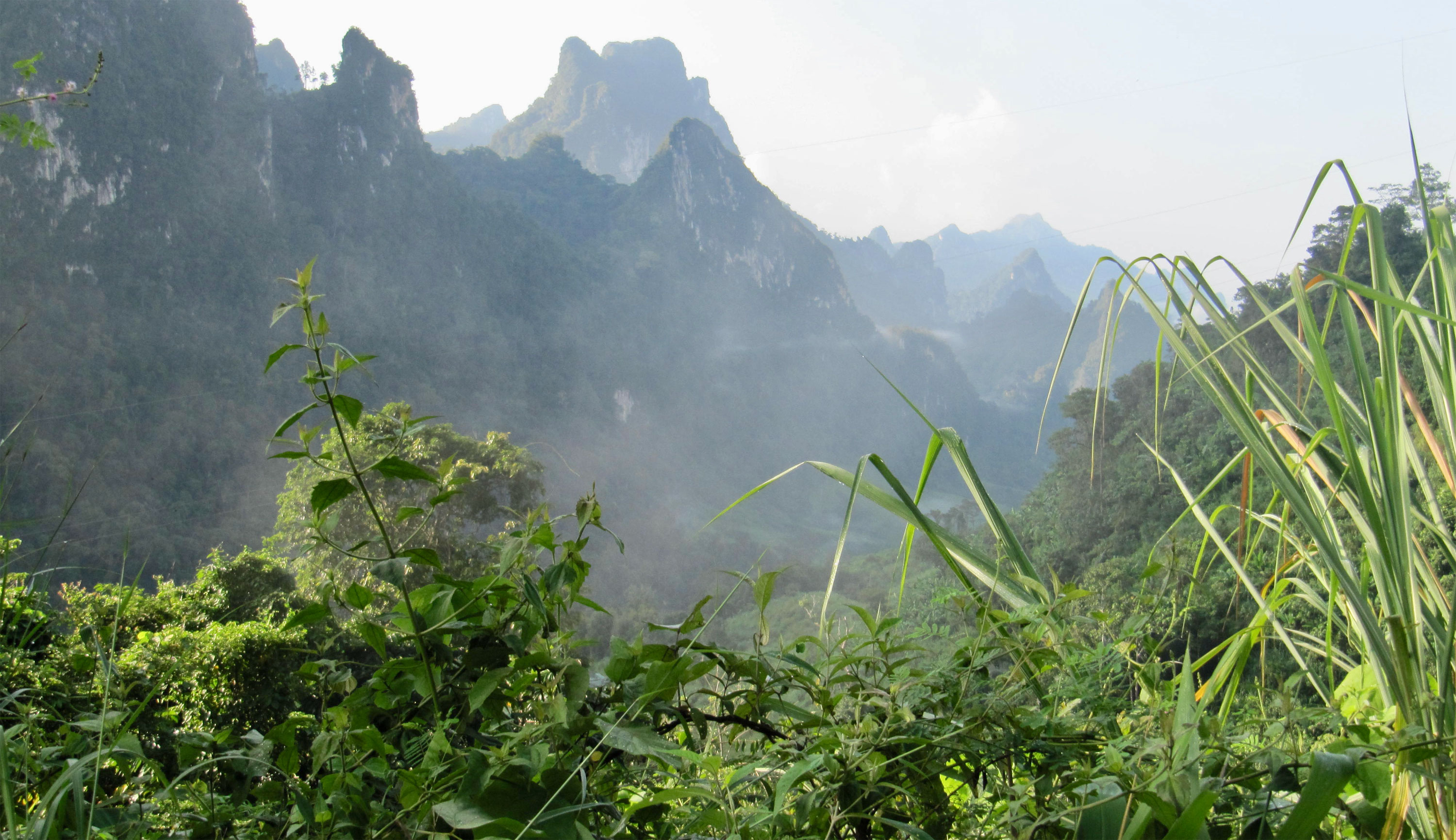 header 35 - 461 Tage