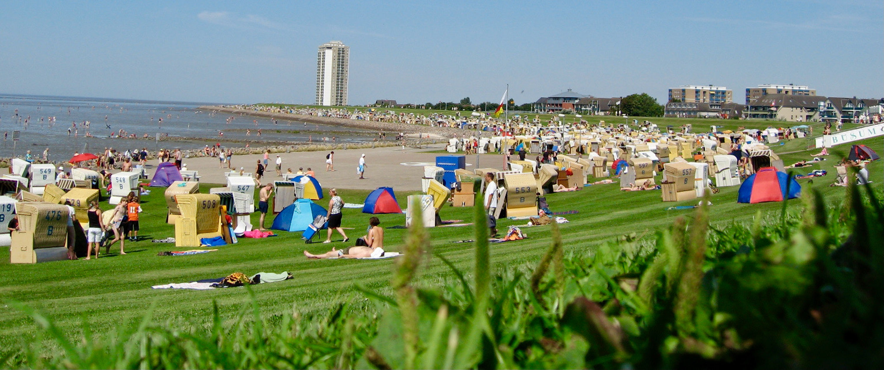 header 40 - 461 Tage